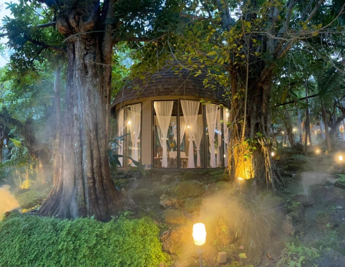 Treescape Chiangmai Khu nghỉ mát